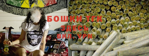 хмурый Заводоуковск